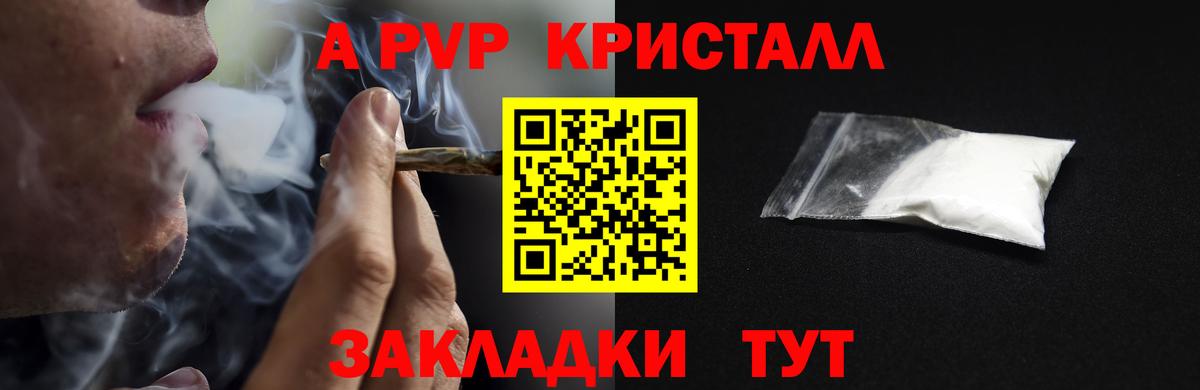 A PVP СК КРИС Прокопьевск